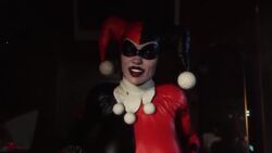 Harley Quinn & Harley Quinn (Batman) Rule 34 Video