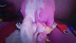 Amy Rose & Amy Rose (Sonic) Rule 34 Video – Anthro