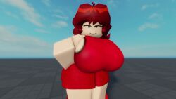 Robloxian Friday Night Funkin Rule 34 – Big Tits Animation