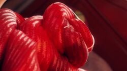 Miia's Mother & Miia (Monster Musume No Iru Nichijou) Rule 34 Vi…