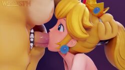 Bowser & Koopa (Mario) Rule 34 Video – Anthro