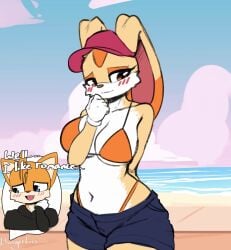 Cream The Rabbit & Tails The Fox (Sega) Rule 34 Video