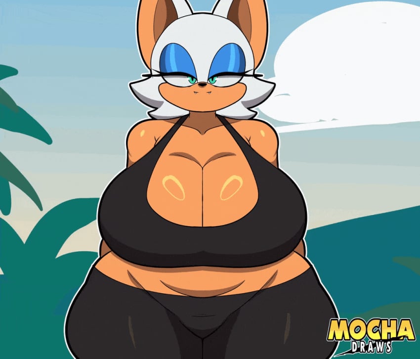 Rouge The Bat (Sega) Rule 34 GIF – Anthro