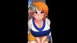 Nami (One Piece) Rule 34 Video – Anal