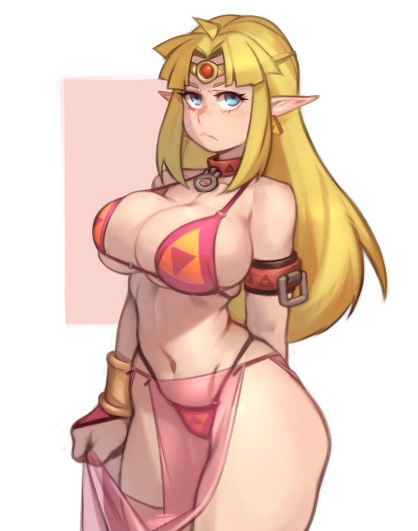 Princess Zelda & Zelda (A Link Between Worlds) Rule 34