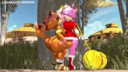 Amy Rose & Amy Rose (Sonic) Rule 34 Video – Armpit Licking