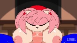 Amy Rose & Sonic The Hedgehog (Sega) Rule 34 Video