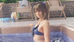 Marie Rose (Dead Or Alive) Rule 34 Video – Accidental Exposure