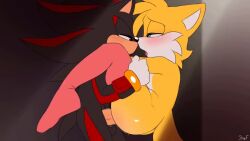 Feminine Tails & Miles Prower (Sega) Rule 34 Video