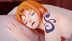 Monkey D Luffy & Nami (One Piece) Rule 34 Video