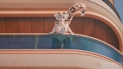 Anthro Furry Rule 34 Video