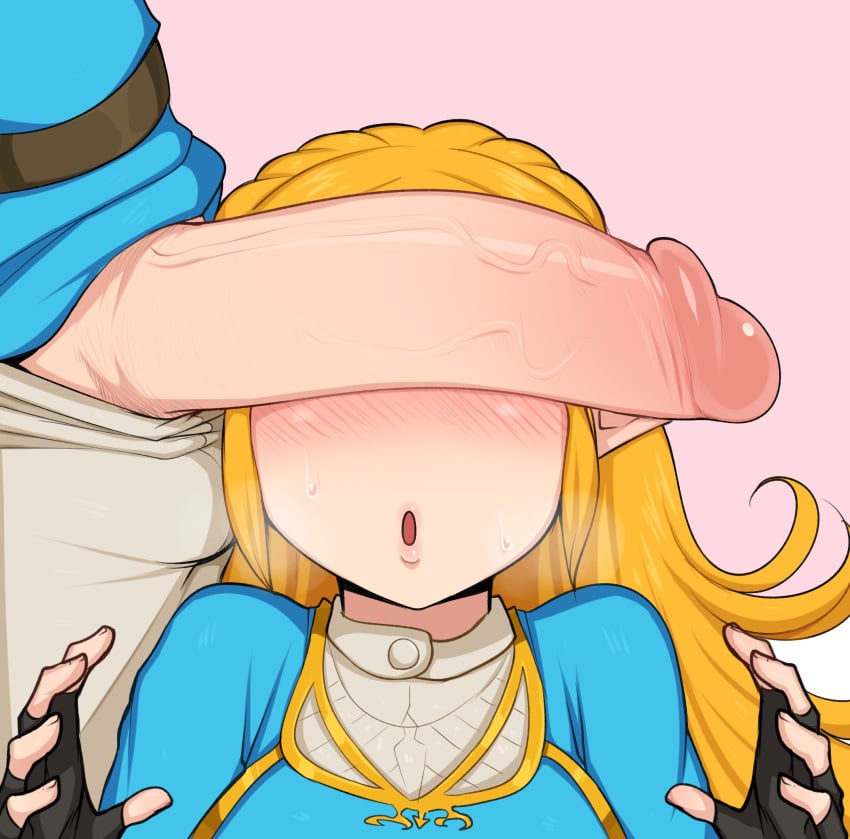 Link & Link (Breath Of The Wild) Rule 34 – Balls