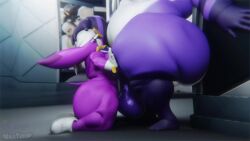 Big The Cat & Wave The Swallow (Sonic) Rule 34 Video