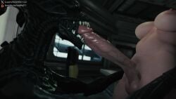 Female Xenomorph & Xenomorph (Alien) Rule 34 Video