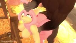 Amy Rose & Amy Rose (Corona) Rule 34 Video – 5 Toes