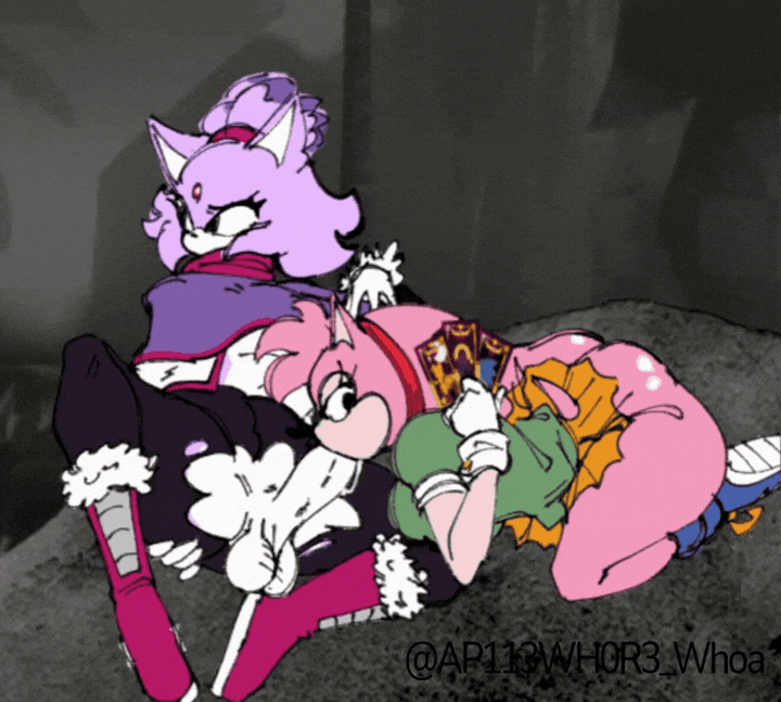 Amy Rose & Blaze The Cat (Creepypasta) Rule 34 GIF