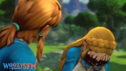 Link & Link (Breath Of The Wild) Rule 34 Video