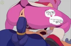 Amy Rose & Espio The Chameleon (Sega) Rule 34 Video