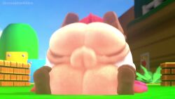 Shy Gal & Shy Guy (Mario) Rule 34 Video – Ass