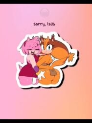 Amy Rose & Sticks The Badger (Sonic) Rule 34 Video