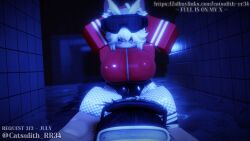 Robloxian Roblox Game Rule 34 – Cowgirl & Riding Animation
