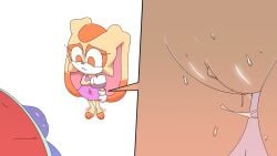 Cream the Rabbit Sonic the Hedgehog Rule 34 – Anthro Animation