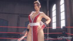 Mai Shiranui (Fatal Fury) Rule 34 Video – Anus