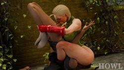 Cammy White (Capcom) Rule 34 Video – 69 Position