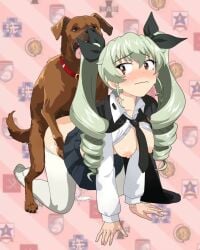 Anchovy (Girls Und Panzer) Rule 34 Video – All Fours