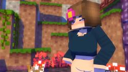 Enderman & Enderwoman (Minecraft) Rule 34 Video