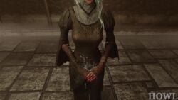 Ashen One & Fire Keeper (Dark Souls) Rule 34 Video
