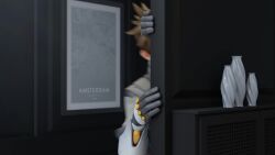 Amelie Lacroix & Angela Ziegler (Blizzard Entertainment) Rule 34 Video