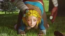 Blin & Bokoblin (Nintendo) Rule 34 Video – After Anal