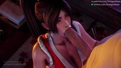 Mai Shiranui (Fatal Fury) Rule 34 Video – :>=