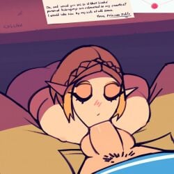 Link & Princess Zelda (Tears Of The Kingdom) Rule 34 Video