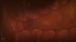 Cervical Contact Cervix Rule 34 Video