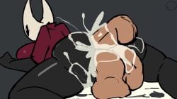 Hornet (Hollow Knight) Rule 34 Video – Ambiguous Penetration