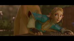 Ganondorf & Princess Zelda (Breath Of The Wild) Rule 34 Video