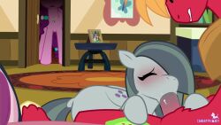 Big Macintosh & Marble Pie (Friendship Is Magic) Rule 34 Video
