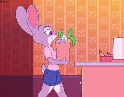 Judy Hopps & Nick Wilde (Zootopia) Rule 34 Video
