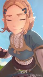 Link & Link (Hyrule Warriors) Rule 34 Video – Blonde Female