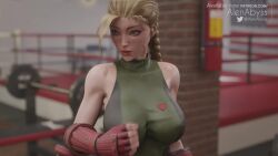 Cammy White & Chun-li (Street Fighter) Rule 34 Video
