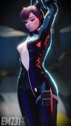 Catwoman & D.va (Blizzard Entertainment) Rule 34 Video