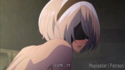 2b & 9s (Nier: Automata) Rule 34 Video – Anus