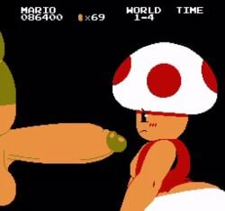 Mario & Nes Toad Rule 34 Video – All The Way To The Base