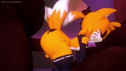 Feminine Tails & Miles Prower (Sega) Rule 34 Video