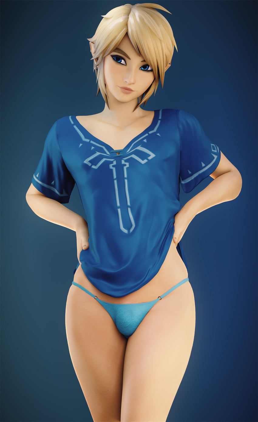 Link & Link (Breath Of The Wild) Rule 34 – Blond Hair