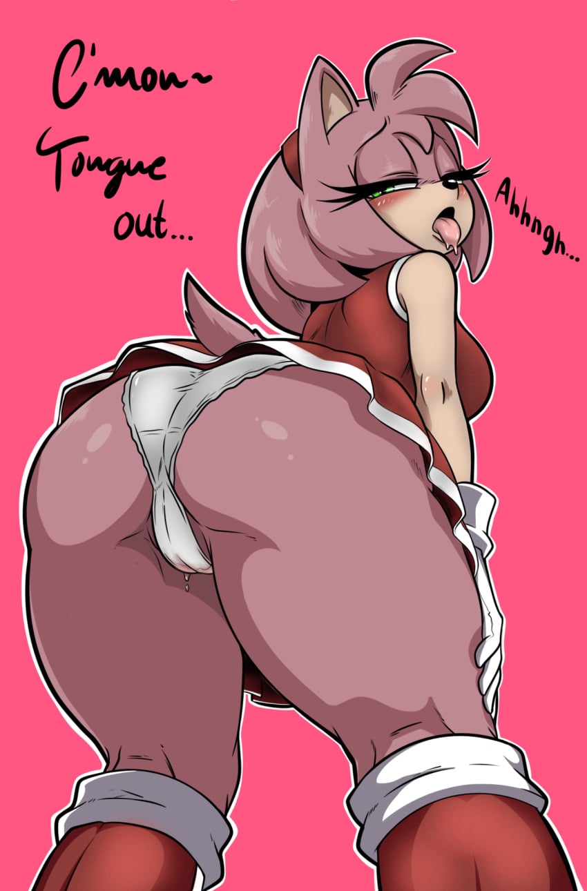 Amy Rose (Sega) Rule 34 – Anthro