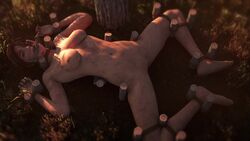 Lara Croft & Lara Croft (Tomb Raider) Rule 34 Video