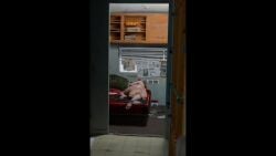 Honoka (Dead Or Alive) Rule 34 Video – 1feral